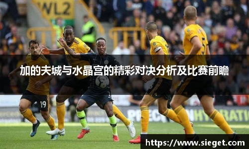 加的夫城与水晶宫的精彩对决分析及比赛前瞻